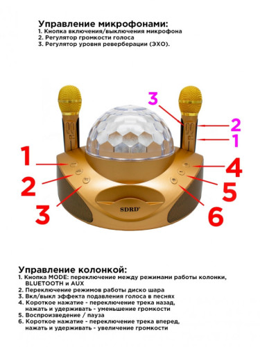 Беспроводная караоке система SDRD SD-308 со светомузыкой / колонка с двумя микрофонами и дискошаром