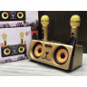 Караоке система SDRD SD-305 / bluetooth колонка с двумя микрофонами / колонка-караоке Котик / Караоке для детей / Колонка с ушками + 2 микрофона