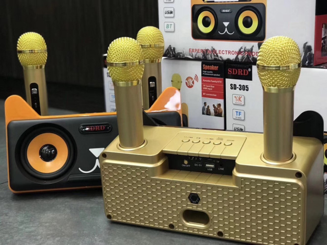 Караоке система SDRD SD-305 / bluetooth колонка с двумя микрофонами / колонка-караоке Котик / Караоке для детей / Колонка с ушками + 2 микрофона