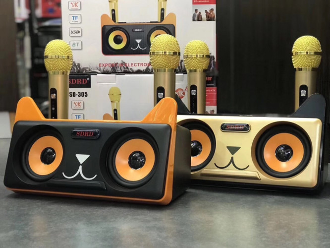 Караоке система SDRD SD-305 / bluetooth колонка с двумя микрофонами / колонка-караоке Котик / Караоке для детей / Колонка с ушками + 2 микрофона