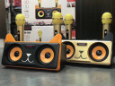 Караоке система SDRD SD-305 / bluetooth колонка с двумя микрофонами / колонка-караоке Котик / Караоке для детей / Колонка с ушками + 2 микрофона