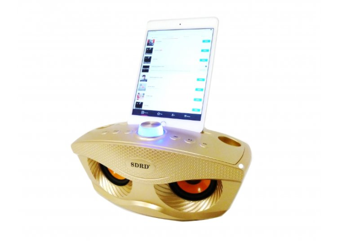 Караоке система SDRD SD-306 / bluetooth колонка с двумя микрофонами / колонка-караоке Сова