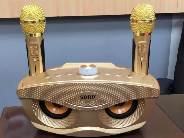 Караоке система SDRD SD-306 / bluetooth колонка с двумя микрофонами / колонка-караоке Сова