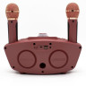Караоке система SDRD SD-306 / bluetooth колонка с двумя микрофонами / колонка-караоке Сова