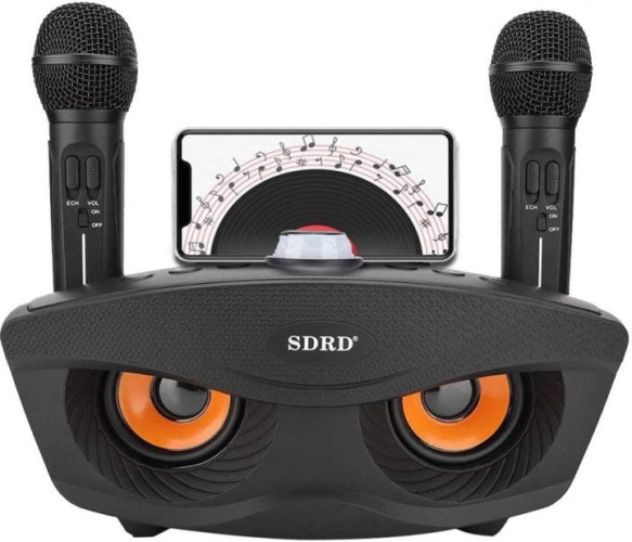 Караоке система SDRD SD-306 / bluetooth колонка с двумя микрофонами / колонка-караоке Сова