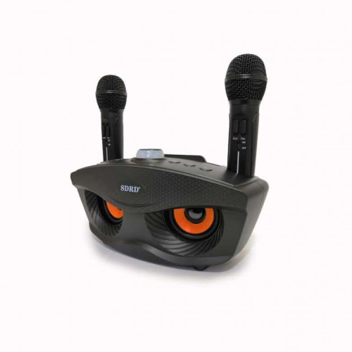 Караоке система SDRD SD-306 / bluetooth колонка с двумя микрофонами / колонка-караоке Сова