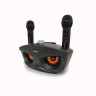 Караоке система SDRD SD-306 / bluetooth колонка с двумя микрофонами / колонка-караоке Сова