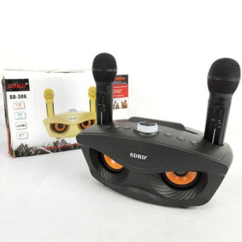 Караоке система SDRD SD-306 / bluetooth колонка с двумя микрофонами / колонка-караоке Сова