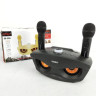 Караоке система SDRD SD-306 / bluetooth колонка с двумя микрофонами / колонка-караоке Сова