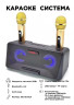 Караоке система на два микрофона SDRD SD-301 / bluetooth колонка-караоке с беспроводными микрофонами