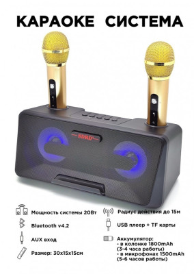 Караоке система на два микрофона SDRD SD-301 / bluetooth колонка-караоке с беспроводными микрофонами