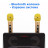 Караоке система на два микрофона SDRD SD-301 / bluetooth колонка-караоке с беспроводными микрофонами