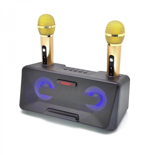 Караоке система на два микрофона SDRD SD-301 / bluetooth колонка-караоке с беспроводными микрофонами