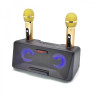 Караоке система на два микрофона SDRD SD-301 / bluetooth колонка-караоке с беспроводными микрофонами