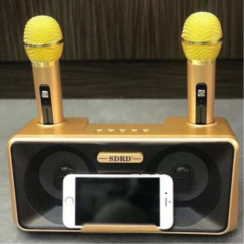 Караоке система на два микрофона SDRD SD-301 / bluetooth колонка-караоке с беспроводными микрофонами