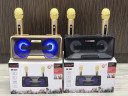 Караоке система на два микрофона SDRD SD-301 / bluetooth колонка-караоке с беспроводными микрофонами