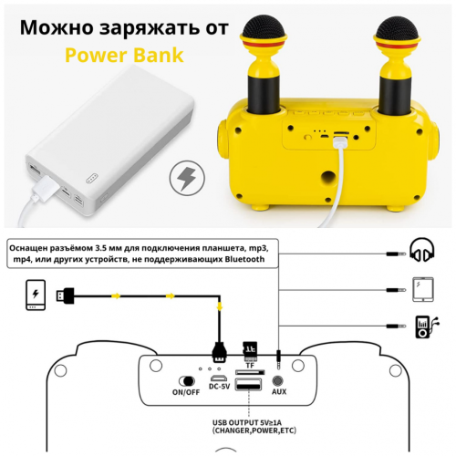 Караоке система с двумя микрофонами SDRD SD-304 / Детская караоке система bluetooth колонка + 2 микрофона