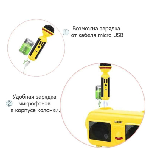 Караоке система с двумя микрофонами SDRD SD-304 / Детская караоке система bluetooth колонка + 2 микрофона