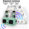 Караоке система с двумя микрофонами SDRD SD-304 / Детская караоке система bluetooth колонка + 2 микрофона