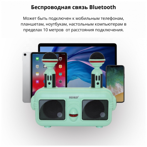 Караоке система с двумя микрофонами SDRD SD-304 / Детская караоке система bluetooth колонка + 2 микрофона