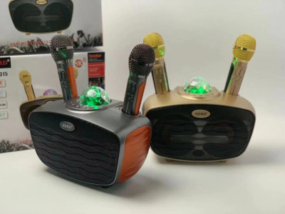 Караоке система с двумя микрофонами SDRD SD-315 со светомузыкой / караоке колонка с дискошаром + 2 микрофона