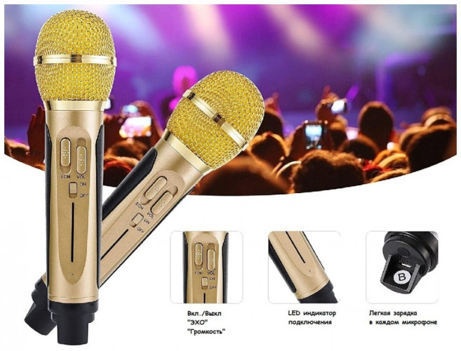 Караоке система с двумя микрофонами SDRD SD-315 со светомузыкой / караоке колонка с дискошаром + 2 микрофона