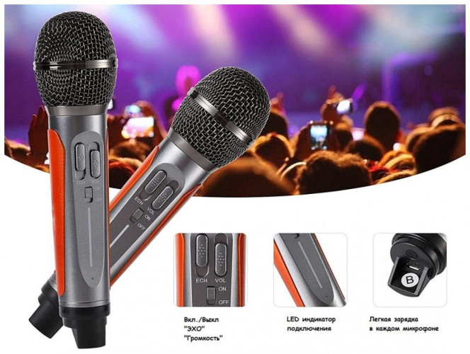 Караоке система с двумя микрофонами SDRD SD-315 со светомузыкой / караоке колонка с дискошаром + 2 микрофона