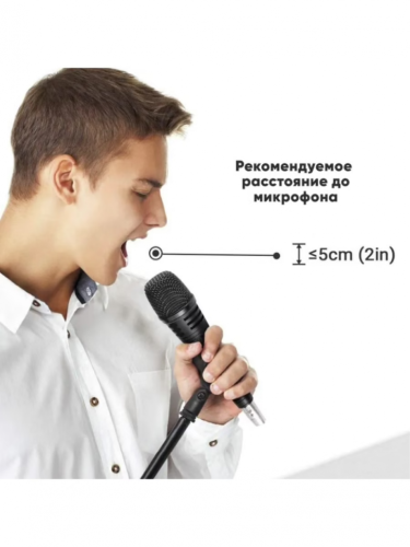 Радиомикрофон / Беспроводной микрофон WM-3309