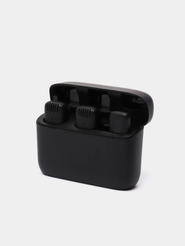 2 в 1 Петличный беспроводной микрофон Type-C набор 2 беспроводных микрофона с приемником и кейсом зарядки