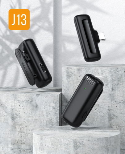 2 в 1 Петличный беспроводной микрофон Type-C набор 2 беспроводных микрофона с приемником и кейсом зарядки